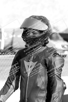 media/Nov-06-2023-Moto Forza (Mon) [[ce023d0744]]/1-Around the Pits/